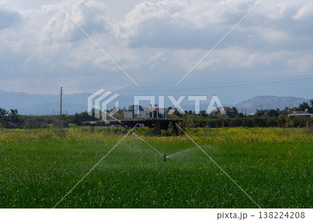 Vibrant green field under a cloudy sky with an irrigation system at work in a rural landscape near a distant town 138224208