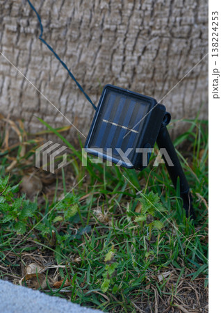 Solar-powered light illuminates garden area as night falls in a serene outdoor setting 138224253