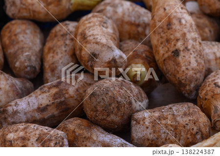 Exploring the earthy textures and colors of freshly harvested taro roots in a vibrant farmers market Exploring the earthy textures and colors of freshly harvested taro roots in a vibrant farmers market 138224387