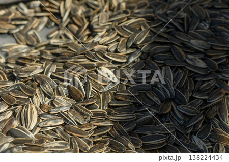 Sunflower seeds scattered on a surface, inviting a moment of joyful snacking and reminiscence 138224434
