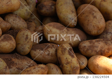 Freshly harvested potatoes resting in earthy piles at a local farm surrounded by golden sunlight Freshly harvested potatoes resting in earthy piles at a local farm surrounded by golden sunlight 138224504