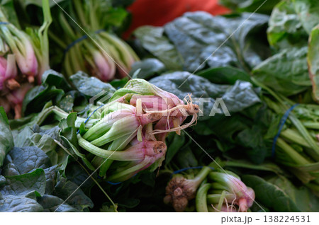 Freshly harvested greens and root vegetables at a vibrant local market in the morning sun Freshly harvested greens and root vegetables at a vibrant local market in the morning sun 138224531