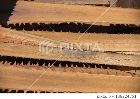 Textured dry date palm leaf for tropical background 138224551