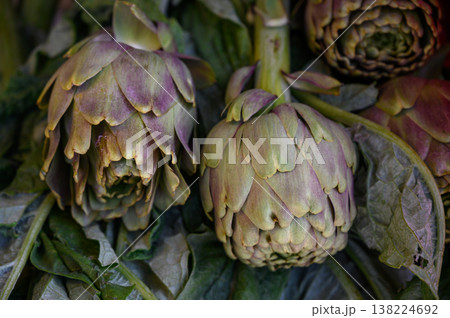 Fresh artichokes resting on leafy green layers at the local market during vibrant morning hours Fresh artichokes resting on leafy green layers at the local market during vibrant morning hours 138224692