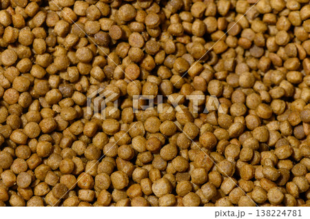 Discovering the texture and richness of kibble in a close-up view of pet food Discovering the texture and richness of kibble in a close-up view of pet food 138224781