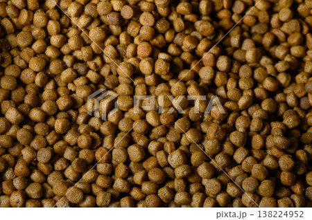 Pet food pellets scattered across a surface, showcasing their rich texture and earthy tones during daylight 138224952