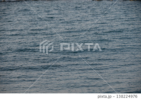 Gentle waves ripple and dance under the warm evening sun by the tranquil shoreline 138224976