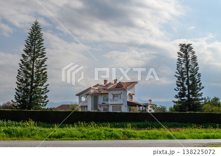 Charming countryside house framed by towering trees under a cloudy sky Charming countryside house framed by towering trees under a cloudy sky 138225072
