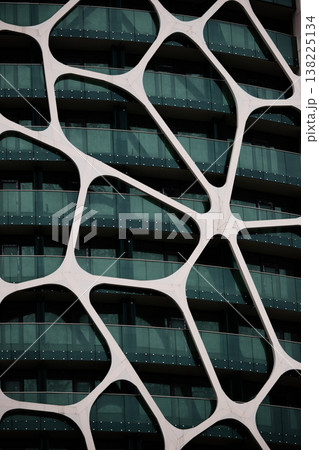 Close-Up of Modern Building Facade with Organic Voronoi Pattern: Futuristic White Biomorphic Mesh Over Green Glass Balconies, Contemporary High-Rise Architecture Detail 138225134