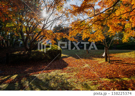浜松市の鳥羽山公園の紅葉の風景(静岡県) 浜松市の鳥羽山公園の紅葉の風景(静岡県) 138225374