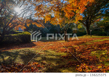 浜松市の鳥羽山公園の紅葉の風景(静岡県) 浜松市の鳥羽山公園の紅葉の風景(静岡県) 138225375