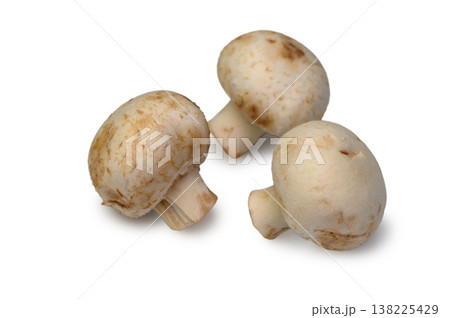 The classic mushroom shape: a round cap and a cylindrical stem. The shot emphasizes freshness, integrity, and the product's presentation for a display. The classic mushroom shape: a round cap and a cylindrical stem. The shot emphasizes freshness, integrity, and the product's presentation for a display. 138225429