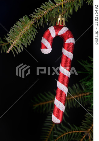 Candy Cane on Fluffy Spruce Branch Candy Cane on Fluffy Spruce Branch 138225492