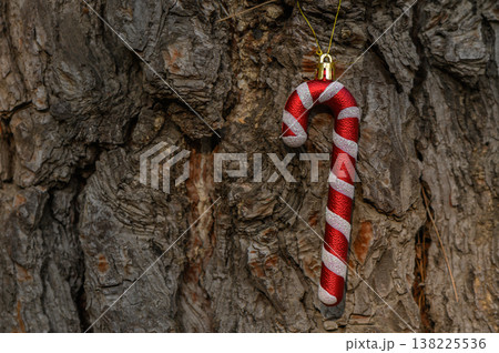 Red-and-White Candy Cane on Christmas Tree Red-and-White Candy Cane on Christmas Tree 138225536