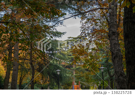 Autumn Pathway Through Park with Yellow Leaves and Fairy Lights 138225728