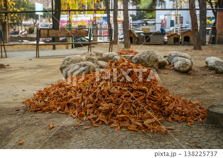 Street Sweeper's Pile of Autumn Leaves on Ground 138225737