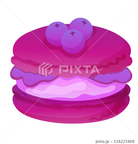 blueberry sweet macaroon traditional snack 138225808