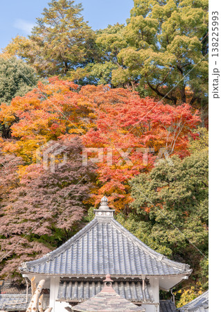 京都府長岡京市　西山　楊谷寺 (柳谷観音)　境内の紅葉（弁天堂から見るもみじ） 138225993