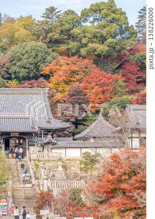 京都府長岡京市　西山　楊谷寺 (柳谷観音)　山門と紅葉 138226000