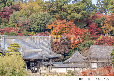 京都府長岡京市 西山 楊谷寺 (柳谷観音) 山門と紅葉 京都府長岡京市 西山 楊谷寺 (柳谷観音) 山門と紅葉 138226001