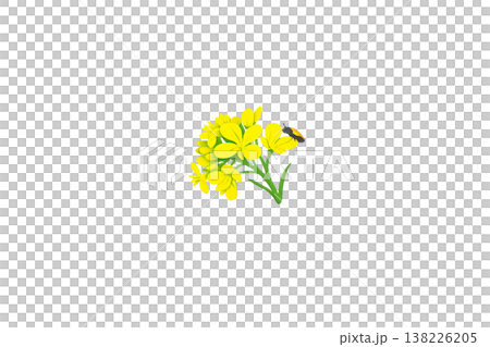 油菜花和瓢蟲標誌 138226205