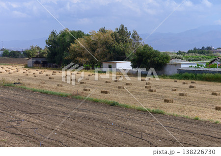 Hay Bales on a Field with Mountain View in Cyprus Hay Bales on a Field with Mountain View in Cyprus 138226730