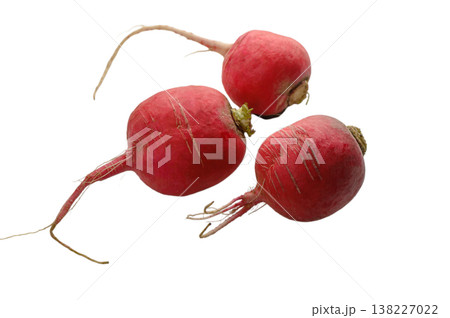 Three fresh red radishes isolated on white Three fresh red radishes isolated on white 138227022
