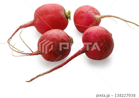 Four fresh red radishes isolated on white 138227038
