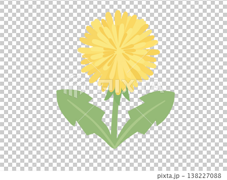 Cute dandelion illustration Cute dandelion illustration 138227088
