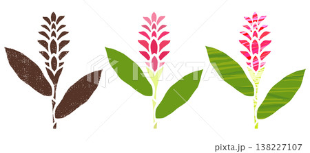 赤いショウガの花のアイコン。トロピカルな雰囲気の3種類のバリエーション。 138227107