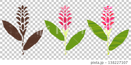 赤いショウガの花のアイコン。トロピカルな雰囲気の3種類のバリエーション。 138227107