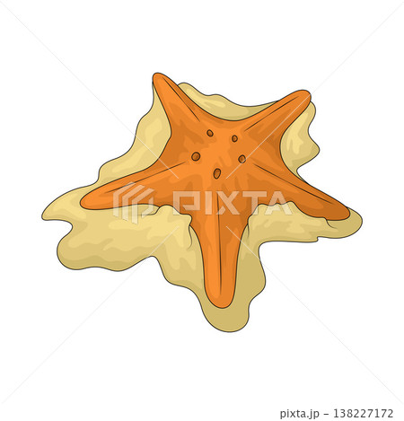 Illustration of Starfish Illustration of Starfish 138227172
