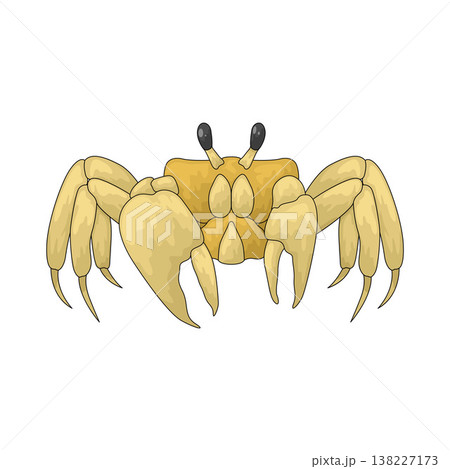 Illustration of Crab Illustration of Crab 138227173