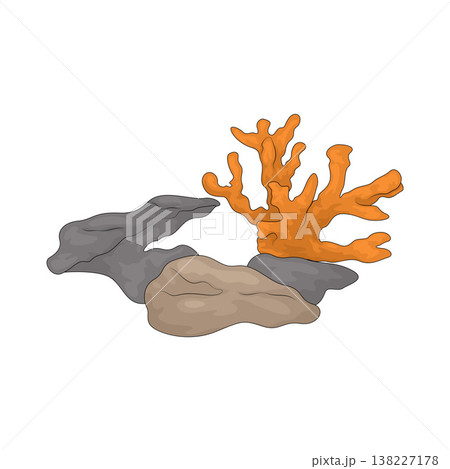 Illustration of Coral Reef Illustration of Coral Reef 138227178