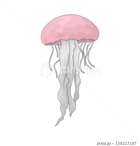 Illustration of Jellyfish Illustration of Jellyfish 138227187