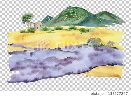 Purple lavender flowing across warm yellow meadow, distant house ruins, trees and mountains. Watercolor hand drawn illustration. Countryside brochures, wine region branding, Mediterranean landscape. Purple lavender flowing across warm yellow meadow, distant house ruins, trees and mountains. Watercolor hand drawn illustration. Countryside brochures, wine region branding, Mediterranean landscape. 138227247