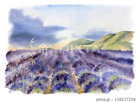 Purple lavender plantation, green hills, mountains. Airy summer clouds, wheat grass blades. Illustration hand drawn in watercolor. Provence travel guides, botanical packaging, farm tourism marketing. 138227250