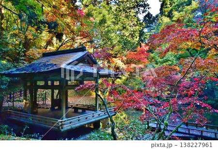 紅葉の新潟県加茂市加茂山公園風景 紅葉の新潟県加茂市加茂山公園風景 138227961