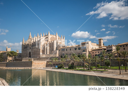 Gothic La Seu Cathedral in Palma de Mallorca, Spain, seen across calm water with palm trees, historic buildings and clear blue sky on a sunny day Gothic La Seu Cathedral in Palma de Mallorca, Spain, seen across calm water with palm trees, historic buildings and clear blue sky on a sunny day 138228349