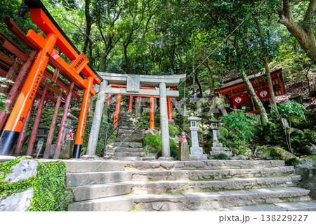 red japanese lantern in garden 138229227