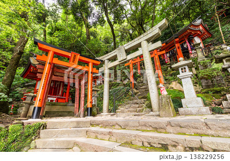 Red Tori gate in Yutoku Inari Shrine, famous shrine  dedicated to Inari in  Kashima, Saga, Kyushu 138229256