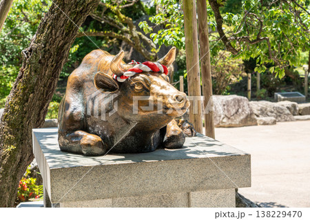 Goshingyu, wisdom ox, in side Dazaifu Tenmangu Shrine, Fukuoga, Japan. 138229470
