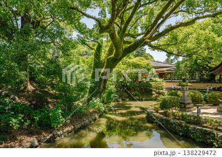 Beautiful Japanese garden with camphor tree in Dazaifu Tenman-gu, shrine. Beautiful Japanese garden with camphor tree in Dazaifu Tenman-gu, shrine. 138229472