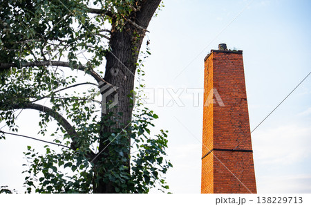 Old industrial brick chimney standing next to a green tree under blue sky 138229713