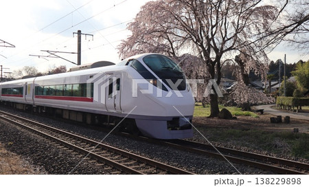 満開の枝垂れ桜の下を走る特急ひたち 138229898