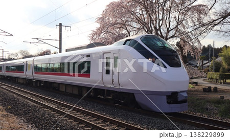 満開の枝垂れ桜の下を走る特急ひたち 138229899