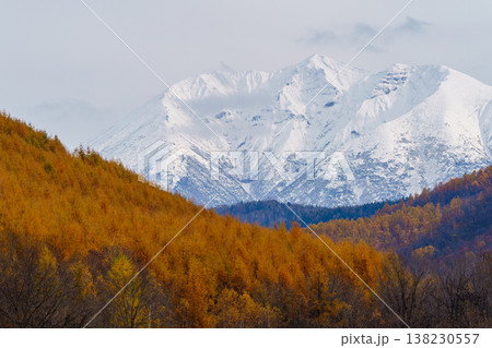 紅葉したカラマツと冠雪した十勝連峰 北海道美瑛の秋の絶景 紅葉したカラマツと冠雪した十勝連峰 北海道美瑛の秋の絶景 138230557