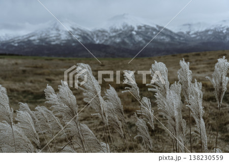 北海道美瑛 晩秋の牧草地と冠雪した十勝連峰の風景  138230559