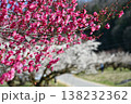 ろうかく梅園 138232362