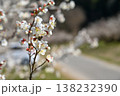 ろうかく梅園 138232390